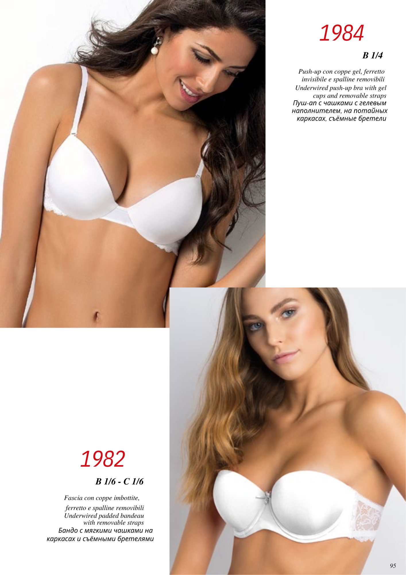 1982-FASCIA IMBOTTITA COPPA C